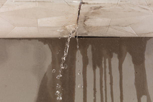 Professional Burst Pipe Cleanup technician working in Bishop, TX
